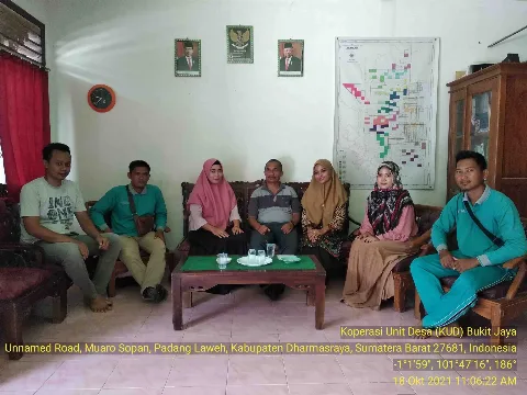 KUD Bukit Jaya Sukses Remajakan Kebun Sawit Tahap I dan II