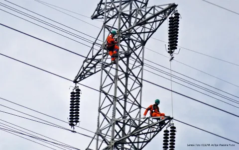 Gantikan Batubara, PLN Gunakan 100% Cangkang Sawit di PLTU Tembilahan