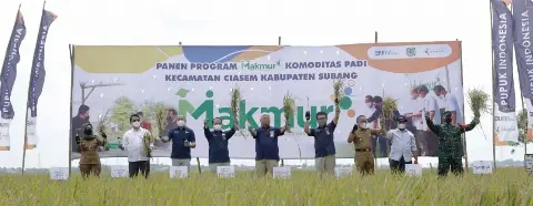 Pupuk Indonesia Tingkatkan Produksi Petani 44%