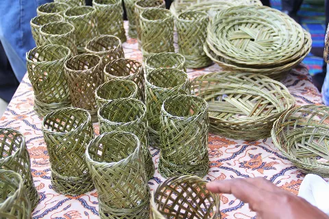 Lidi Sawit Pembawa Berkah