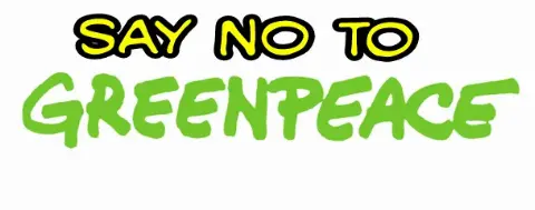 Sebarkan Informasi Hoaks Deforestasi, Direktur Greenpeace dan Kiki Taufik Dipolisikan