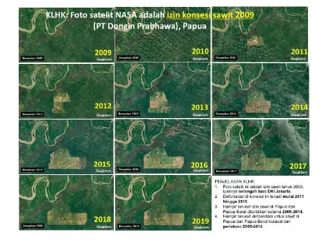 Foto Satelit NASA adalah Izin Sawit 2009