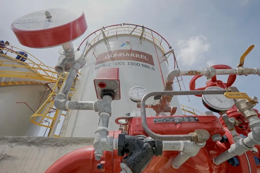Semangat Go Green, Subholding Upstream Pertamina Siap Dukung Net Zero Emission Indonesia 2050