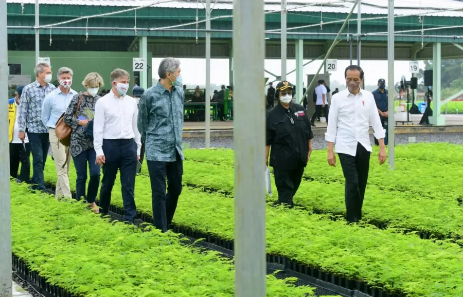 Tinjau Persemaian Rumpin Bersama Para Dubes, Presiden Tunjukan Indonesia Serius Tangani Perubahan Iklim