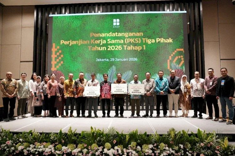 BPDP Targetkan 50.000 Hektare Peremajaan Sawit Rakyat pada 2026