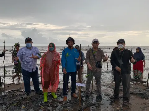 GAPKI Tanam Perdana Mangrove di Kalimantan Tengah