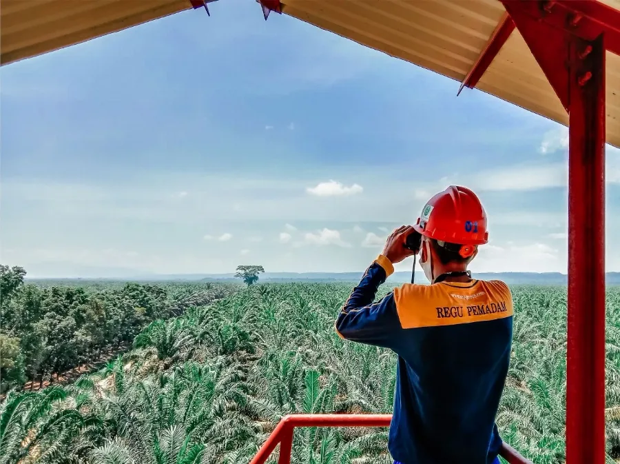 Pengelolaan Perkebunan Kelapa Sawit telah Terapkan Prinsip & Kriteria Keberlanjutan