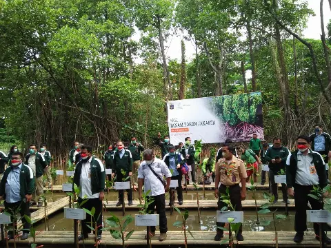 Peduli Lingkungan Jakarta Apical Group Tanam Mangrove