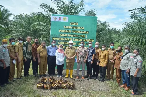 Pola Kemitraan Musim Mas Dinilai Berhasil