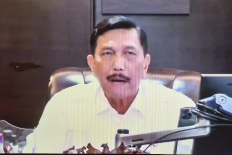 Menko Luhut Soroti Penerimaan dari Sawit, Ada Perusahaan Tak Punya NPWP