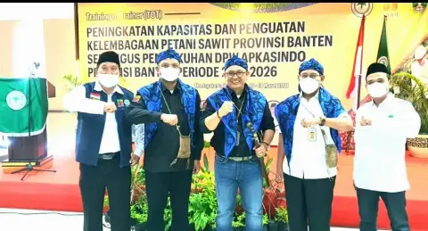 APKASINDO Dukung Program Minyak Goreng Murah, Tapi Ada Syaratnya