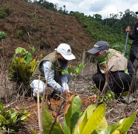 Kolaborasi PTPN V Reboisasi Hutan Lindung Bukit Suligi