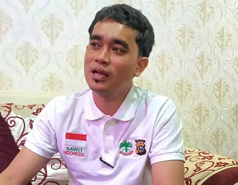 KLHK Perhatikan Ini, 5 Saran Agar Pencabutan Izin Tidak Blunder