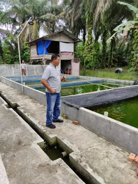 Kisah Kampung Lele Tumbuh Berkembang bersama PTPN V