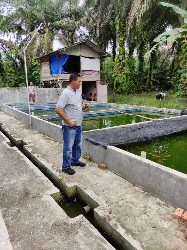 Kisah Kampung Lele Tumbuh Berkembang bersama PTPN V