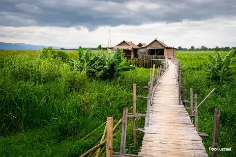 Peran Strategis TKDD dalam Melayani Masyarakat dan Memulihkan Ekonomi