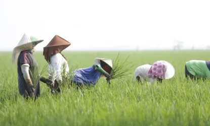Pupuk Indonesia Pastikan Ketersediaan Pupuk Subsidi di Jember