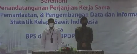 BPDPKS dan BPS Kolaborasi Ciptakan Satu Data Sawit