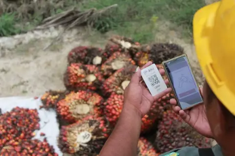 Dampak Positif ESG, Kinerja Bisnis dan Lingkungan ANJ Semakin Ciamik