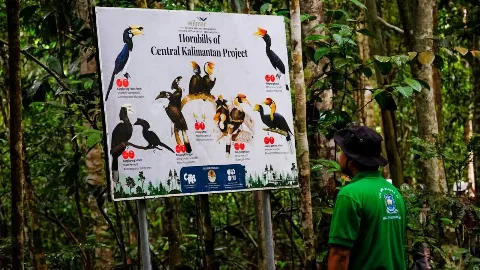 Wilmar Ubah 2 Kawasan Hutan Jadi Sekolah Alam