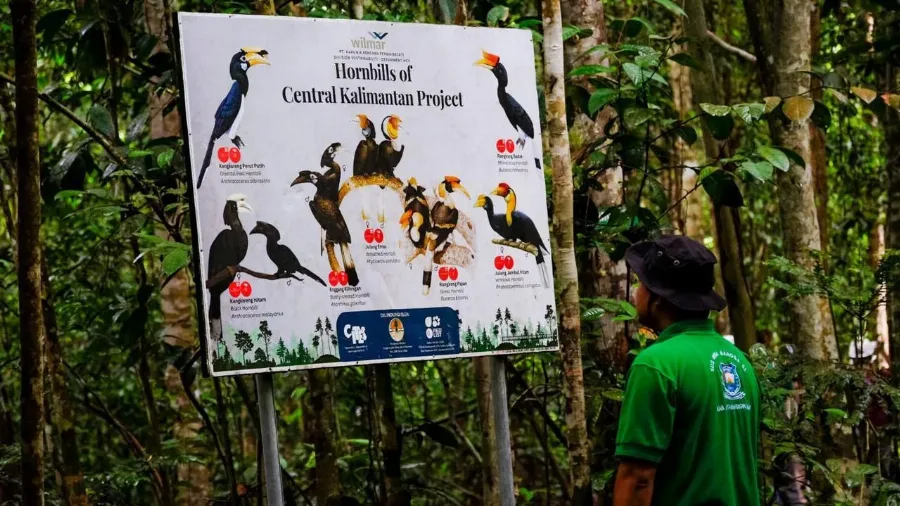 Wilmar Ubah 2 Kawasan Hutan Jadi Sekolah Alam