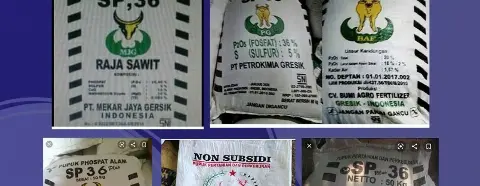 Pupuk Indonesia Himbau Petani Waspadai Pupuk Tiruan