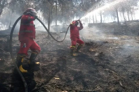 Pemadaman Karhutla Dilakukan Intensif di Sejumlah Wilayah Riau dan Kepulauan Riau