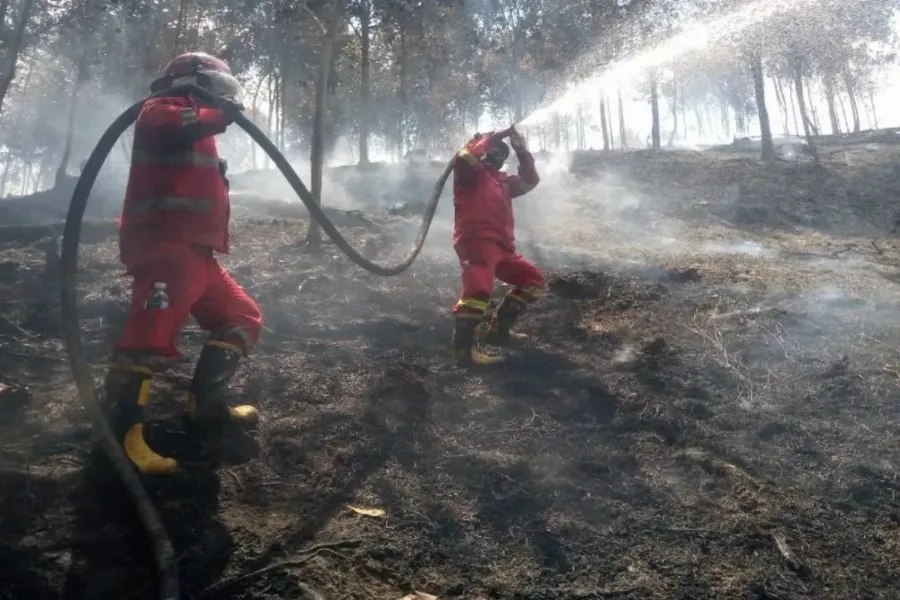 Pemadaman Karhutla Dilakukan Intensif di Sejumlah Wilayah Riau dan Kepulauan Riau