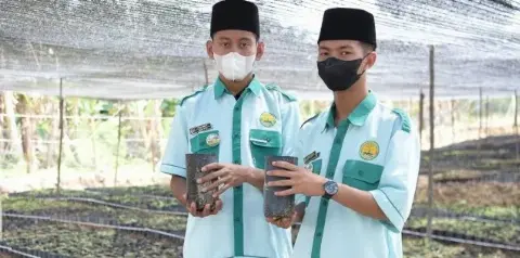Peringati Harlah ke-99, NU Bahas Percepatan Peremajaan Sawit Rakyat