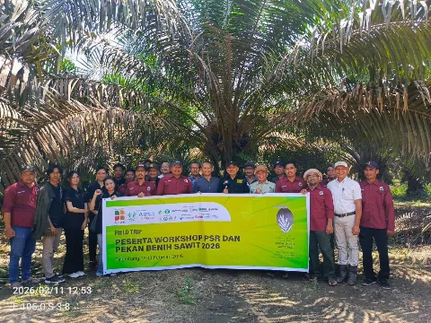BPDP Dukung PSR, Petani OKI Catat Produksi Sawit Capai 19 Ton/Ha