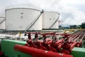 Task Force Energy, Sustainable & Climate B20, Ajak Perusahaan Global Lahirkan Rekomendasi Untuk G20