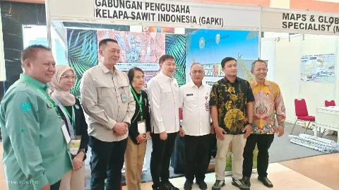 GAPKI Sumsel: Produktivitas Sawit di Bawah 3 Ton CPO per Hektare, PSR Mendesak Dipercepat