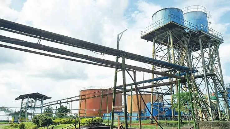 PTPN V Kembali Kantongi Sertifikasi RSPO