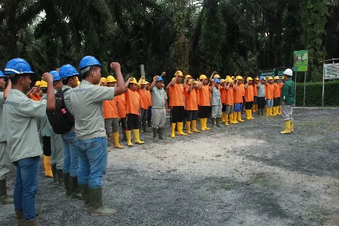 <strong>Cinderella Industry: Palm Oil Misfortune</strong>