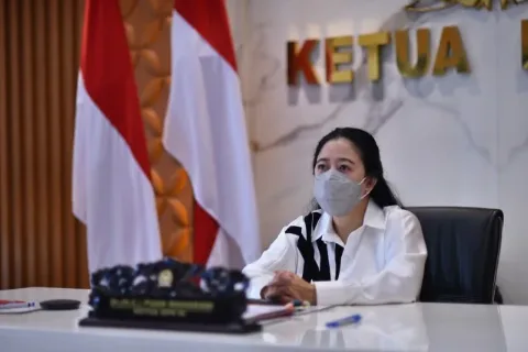 Puan Maharani: Sosialisasi Pembelian Minyak Goreng dengan PeduliLindungi Harus Gencar