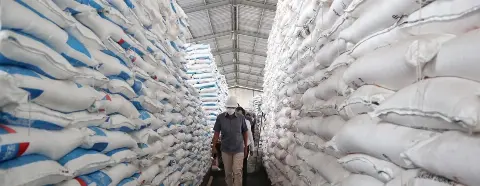 Stok Pupuk Subsidi Tercatat 1,4 Juta Ton, Setara 137% Dari Ketentuan