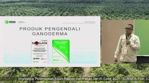 Ancaman Ganoderma Bayangi PSR, Mitra Sukses Agrindo Andalkan Trichoderma dan Mikoriza