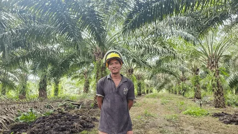 Dari Hutan Menuju Harapan: Perjalanan Ali dan Sidarmi untuk Masa Depan yang Lebih Baik