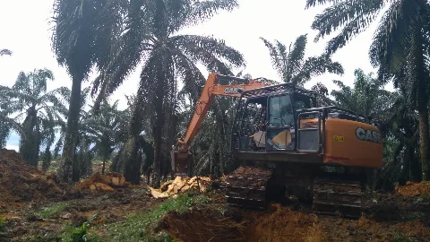 Jalur Kemitraan, Asa Baru Percepatan PSR