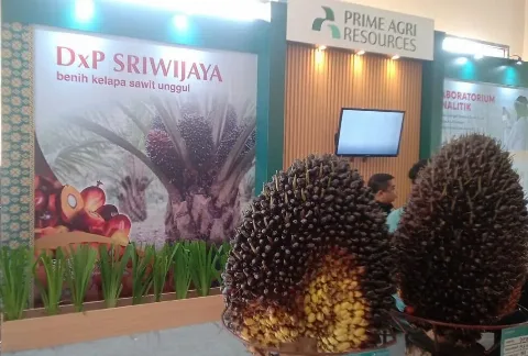 Pameran PSR dan Benih Palembang Dongkrak Penjualan, Produsen Kantongi Pesanan Ribuan Bibit Sawit