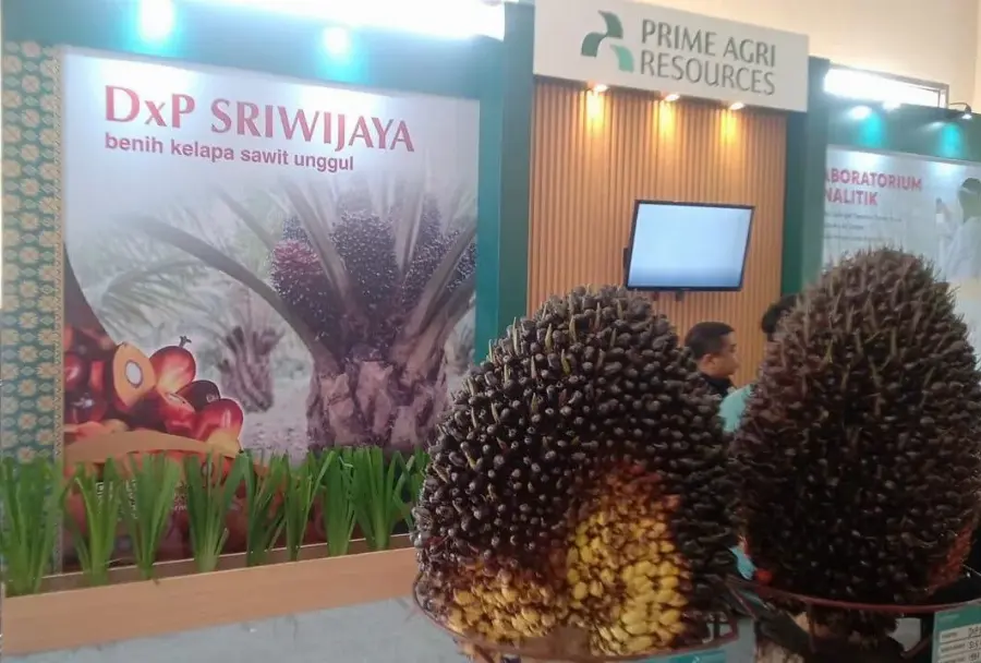 Pameran PSR dan Benih Palembang Dongkrak Penjualan, Produsen Kantongi Pesanan Ribuan Bibit Sawit
