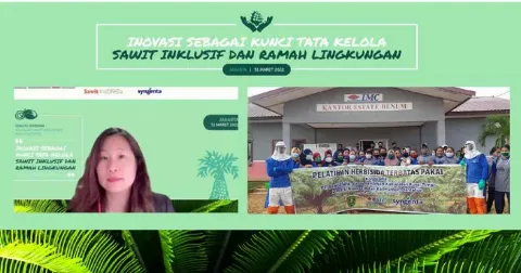 Inovasi Syngenta Solusi Bagi Produktivitas Sawit
