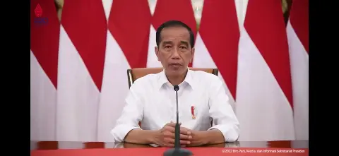 Presiden Jokowi Larang Ekspor Bahan Baku Minyak Goreng Mulai 28 April 2022