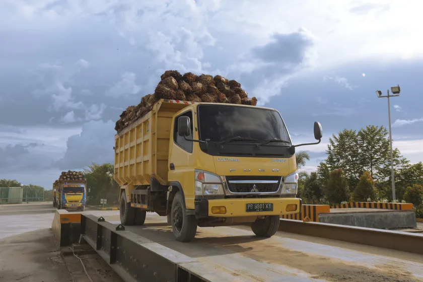 ANJ Cetak Pendapatan Rp  1,08 Triliun Sepanjang Kuartal Pertama 2022