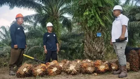 PTPN IV PalmCo Bangun SDM Inklusif untuk Dukung Ketahanan Energi