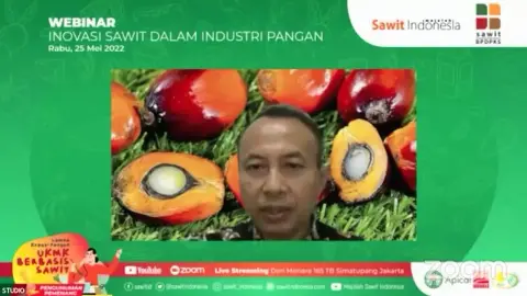 Pemerintah Minta Kampanye Positif Sawit Aktif dan Konsisten