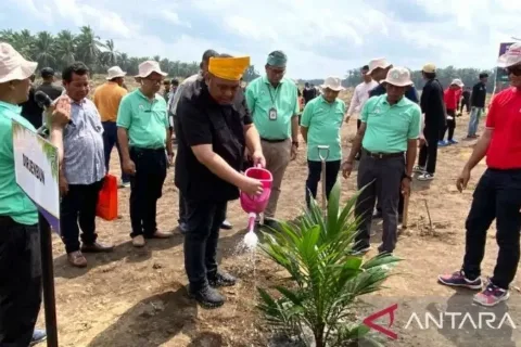 Dinas Perkebunan Provinsi Riau Targetkan Peremajaan 11.600 Hektare Dalam Program PSR yang Dibantu BPDP