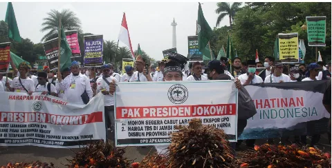 Petani Datang, Larangan Ekspor CPO Dicabut