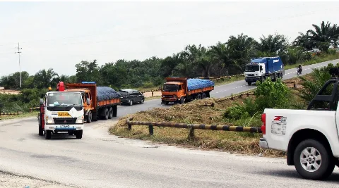 Konsumsi Sawit Untuk Biodiesel Diproyeksikan 17%