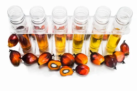 What’s Cooking In Your Oil Pot?